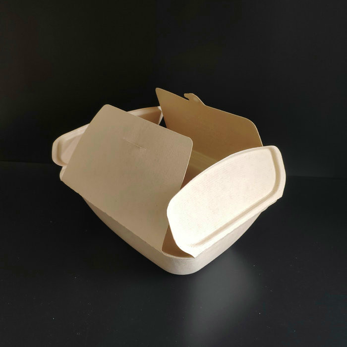 biodegradable bagasse container