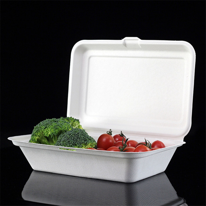 9x6inch Sugarcane Biodegradable Fast Food Container