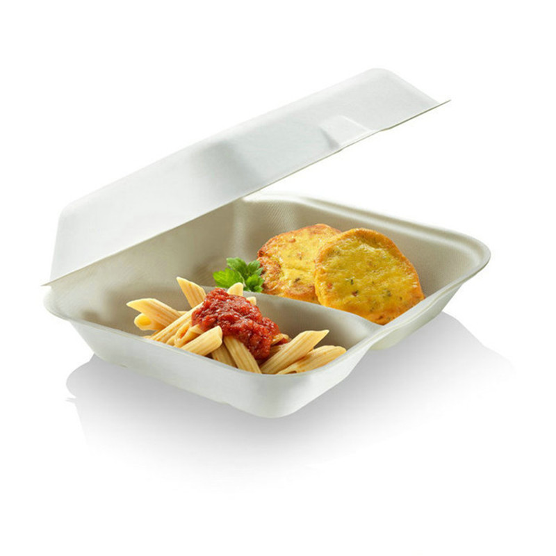 9inch 3 Compartment Clamshell Biodgeradable Packaging