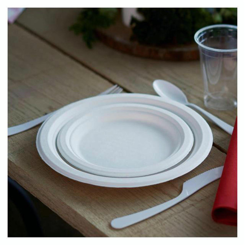 Vajilla Ecológico Biodegradable|Como platos de bambu FOOGO Green 25 Platos de hoja de palma Desechable|20cm Cuadrado Duro Platos de papel|Para la Fiesta de Bodas,Camping Platos de plástico 