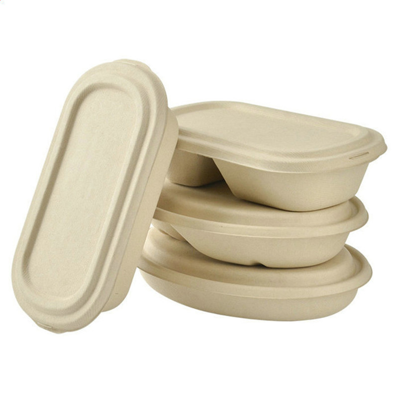 Biodegradable Plastic Container Food Packaging Containers Manufacturer