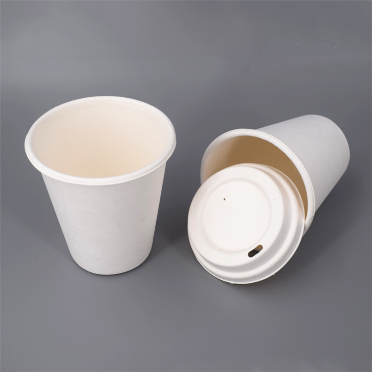 8 oz - para café té y chocolate caliente 100 unidades Tazas de café desechables ecológicas para bebidas calientes con forro aislante y tazas biodegradables y compostables 