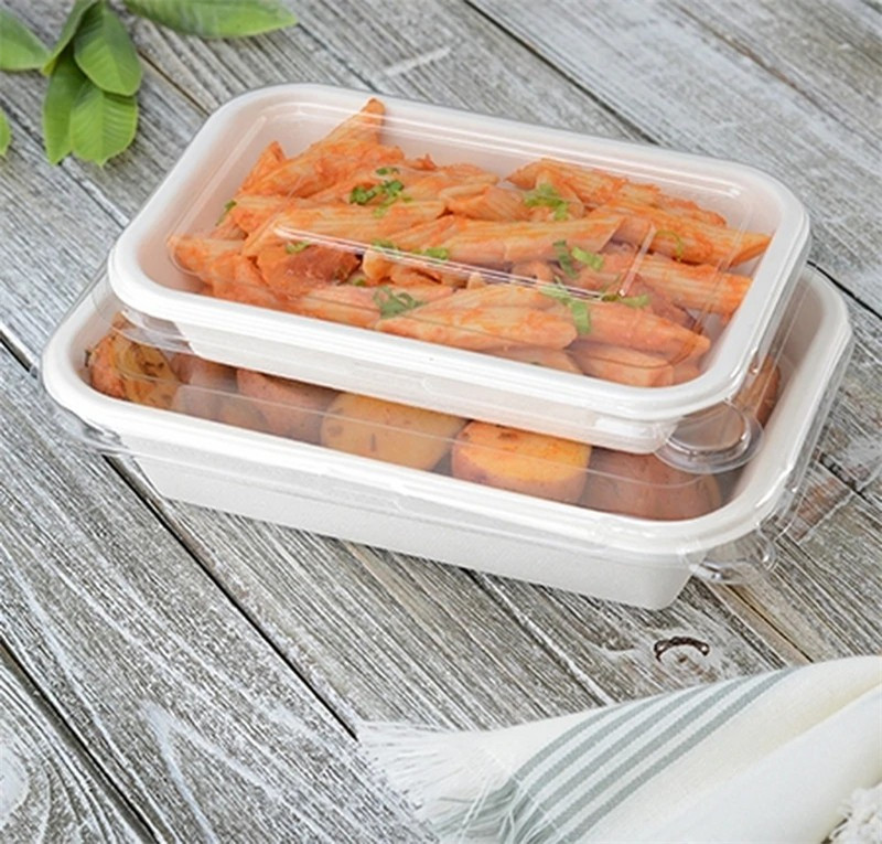 750ml Rectangle Bagasse Salad Food Trays with PET Clear Lids