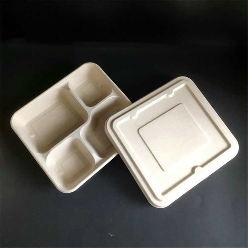 4-Compartment Takeaway Food Packaging Biodegradable Trays Natural Color