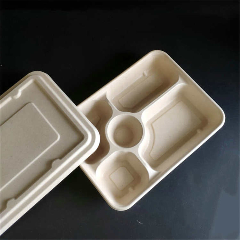 5-Compartment Trays with Lid Sugarcane Fast Food Packaging