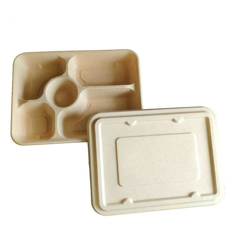 5/6/7/9 Compartment lunch trays disposable eco-friendly meal tray Custom  Printed Disposable-Buy compostable bagasse tray,bamboo fiber bagasse tray,sugarcane  bagasse tray,biodegradable bagasse tray on