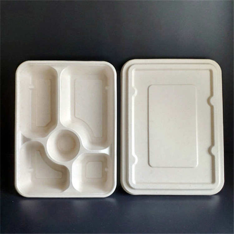 Biodegradable 5 Compartments Meal Disposable Sugarcane Bagasse Lunch T –  Fastfoodpak