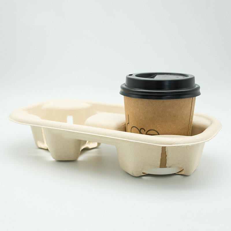 Bagasse Biodegradable Cup Trays 2 and 4 Compartments Disposable