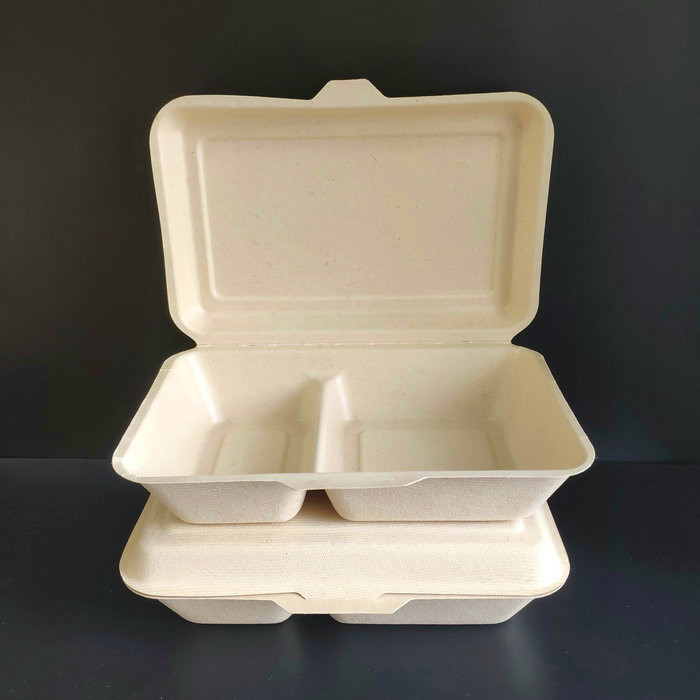 PLA/PET Coated Bagasse Food Container with High Quality
