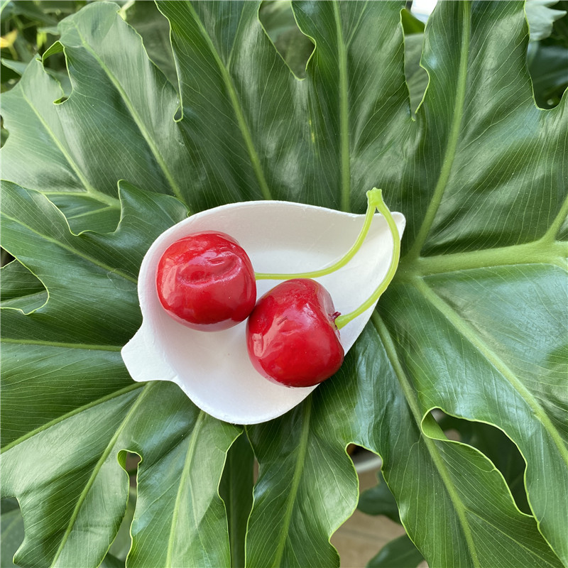 Three Leaf Juego de 5 bandejas de comida con tapa, 25 juegos. Platos de  bagazo desechables resistentes y ecológicos con plomo, platos 100%