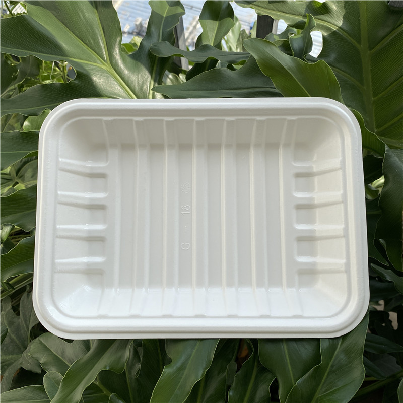 New Technology Spraying PE/PLA Coating Biodegradable Bagasse Plate