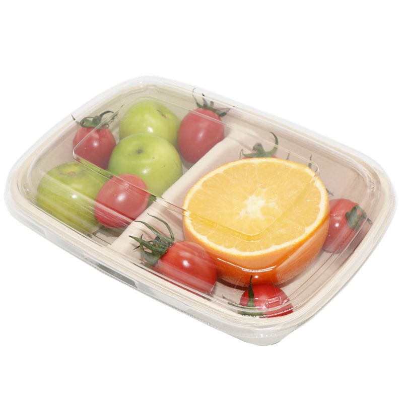 2 Compartments Rectangular Bagasse Tray With Clear Lids