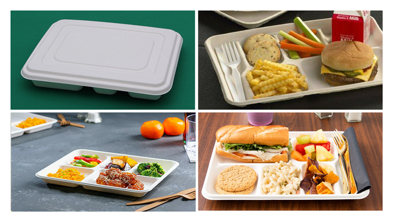 School Lunch Tray 5 Compartment