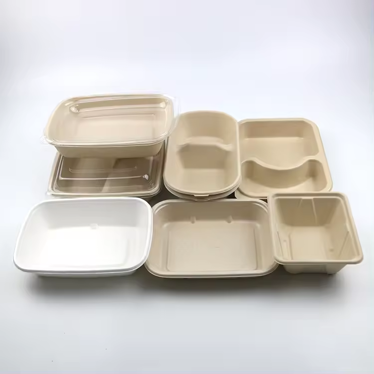 contenedor de bagazo